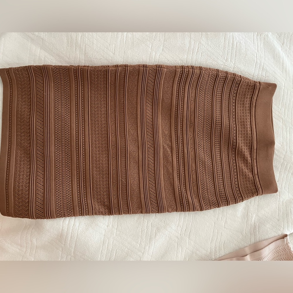 Aritzia skirt